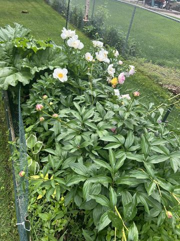 1304 155th Lane NW, Andover, MN 55304