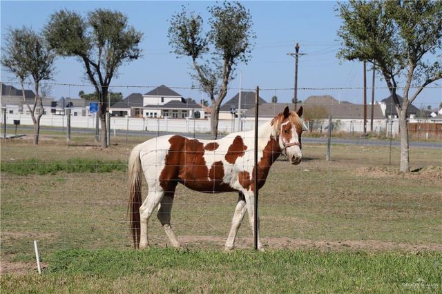 12431 Ware Road, Edinburg, TX 78541