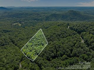 0000 Peartree Drive 487, Lake Lure, NC 28746