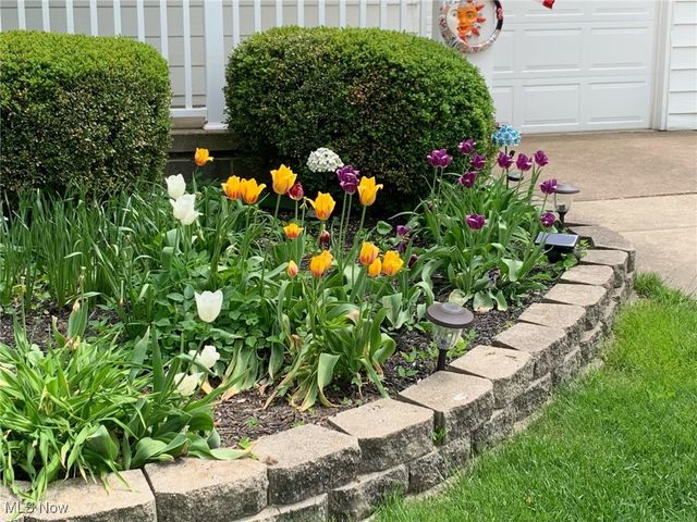 3285 Stoney Ridge Road, Avon, OH 44011