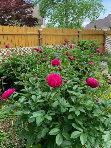 3285 Stoney Ridge Road, Avon, OH 44011