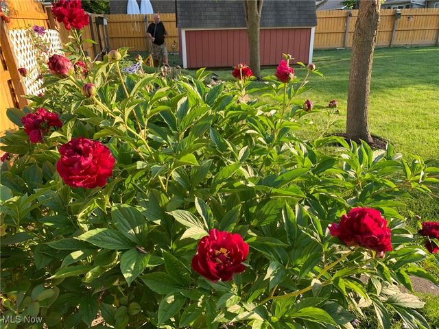 3285 Stoney Ridge Road, Avon, OH 44011