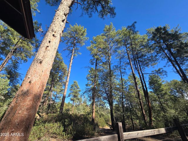 403 N GRAPEVINE Drive, Payson, AZ 85541