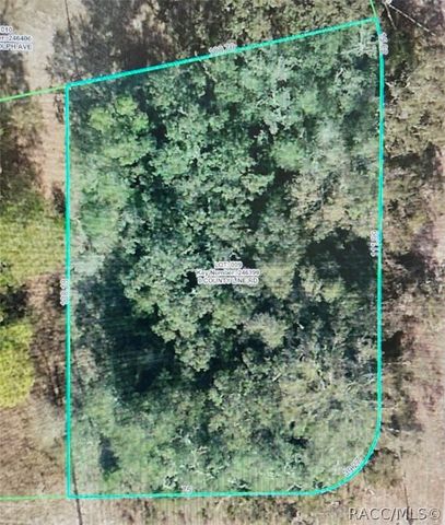 8093 County Line Road, Spring Hill, FL 34606