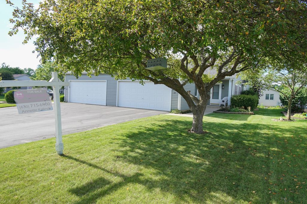 49 S Walnut Drive, North Aurora, IL 60542