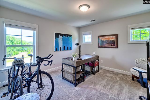 5030 Lincoln Reece Lane, Elgin, SC 29045