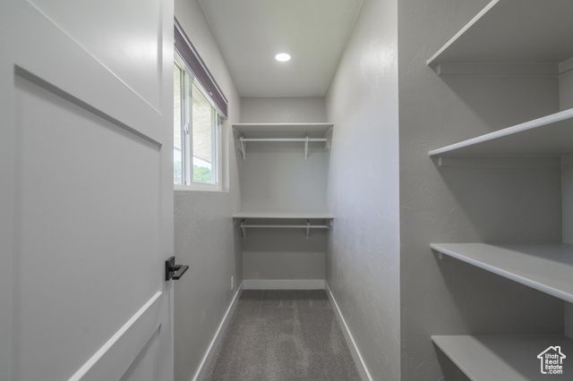 1135 E REDWOOD TREE ST, St. George, UT 84790