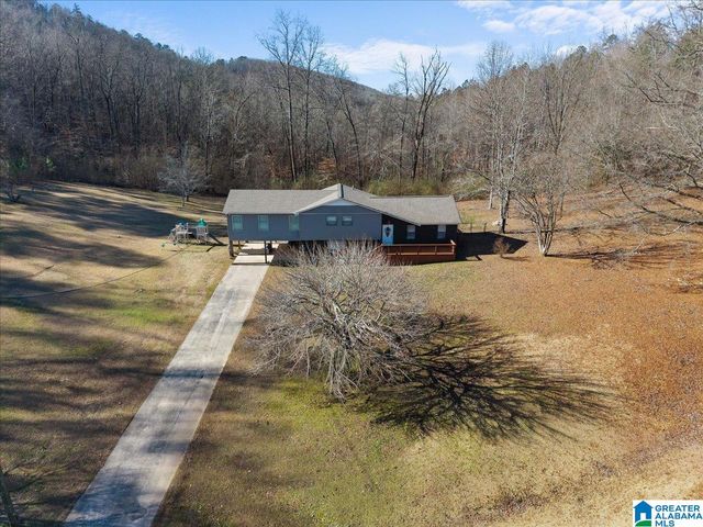 363 OAK RIDGE DRIVE, Oneonta, AL 35121