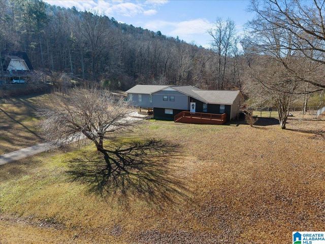 363 OAK RIDGE DRIVE, Oneonta, AL 35121