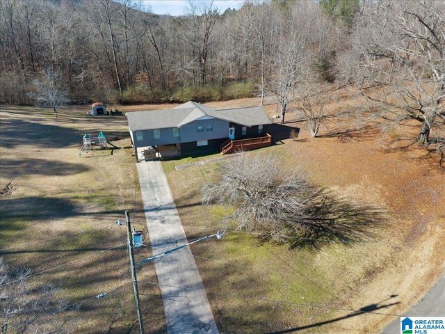 363 OAK RIDGE DRIVE, Oneonta, AL 35121