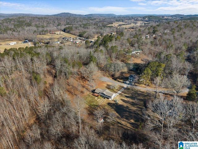 363 OAK RIDGE DRIVE, Oneonta, AL 35121