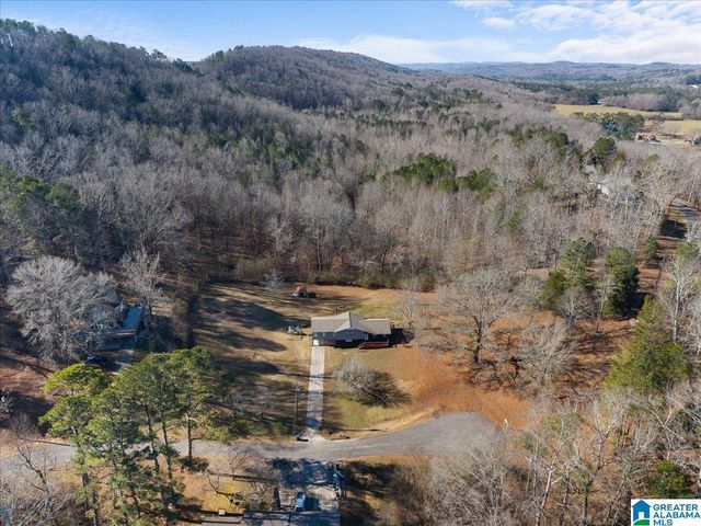 363 OAK RIDGE DRIVE, Oneonta, AL 35121