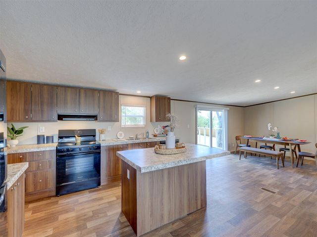 146 Monte Vista DR, Elgin, TX 78621