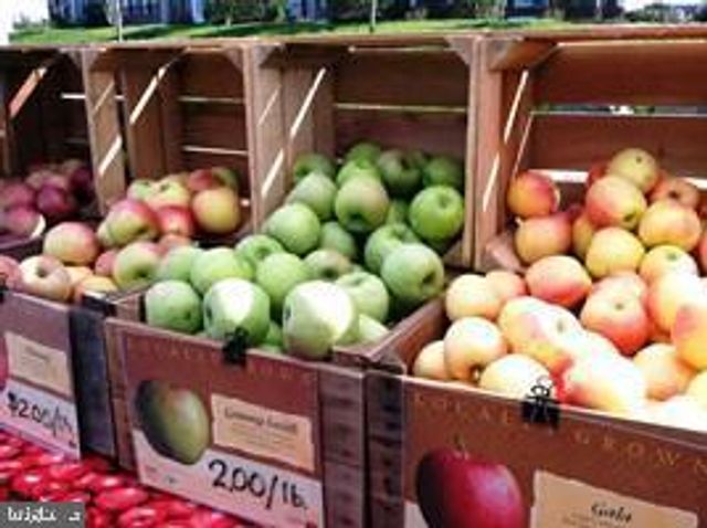 42257 BLISS TER, Brambleton, VA 20148