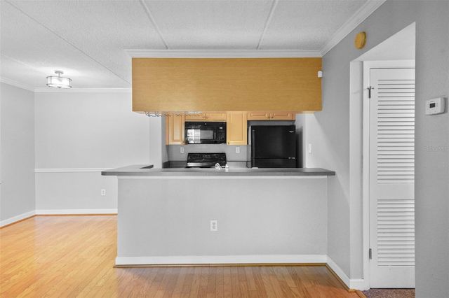 108 ALAMEDA COURT 236, Tampa, FL 33609