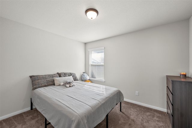 11116 Pallasite Court, Waco, TX 76655