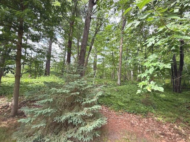 25315 Heartland Drive, Nevis, MN 56467