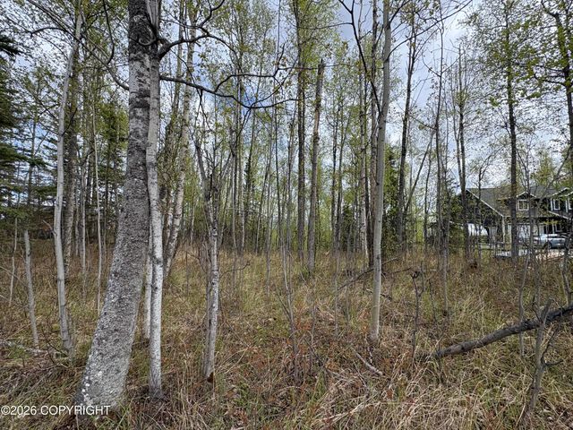 5201 S Outrigger Drive, Wasilla, AK 99623