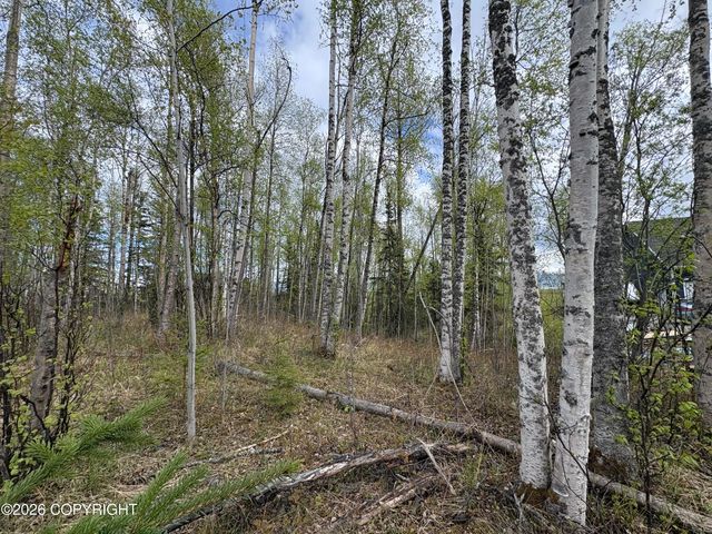 5201 S Outrigger Drive, Wasilla, AK 99623