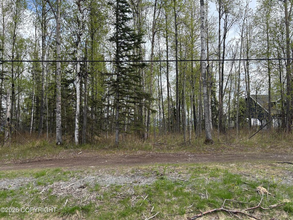 5201 S Outrigger Drive, Wasilla, AK 99623