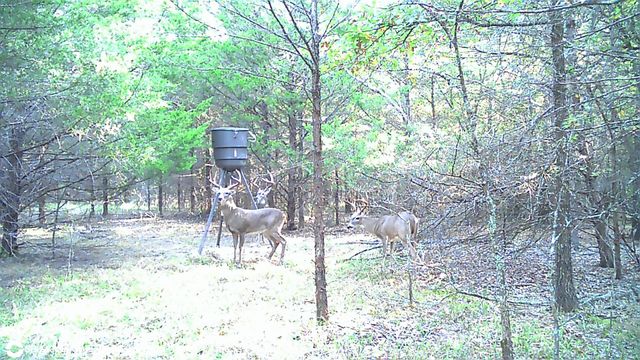 6259 State Highway 34 S, Quinlan, TX 75474