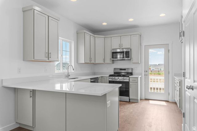1596 E DUCKWATER PEAK, Eagle Mountain, UT 84005