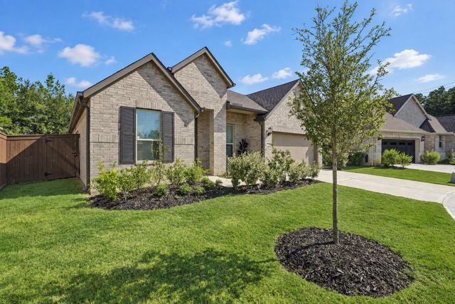 29025 Red Loop Drive, New Caney, TX 77357