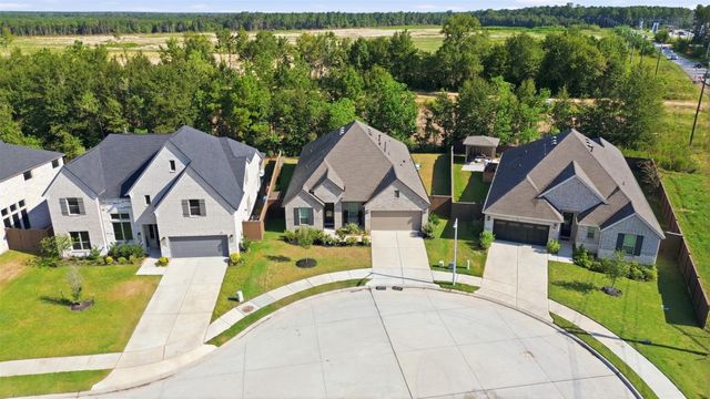 29025 Red Loop Drive, New Caney, TX 77357