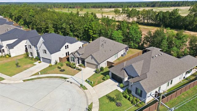 29025 Red Loop Drive, New Caney, TX 77357