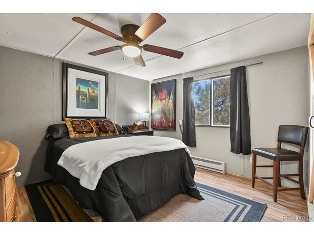 957 Arapahoe Dr, Florissant, CO 80816