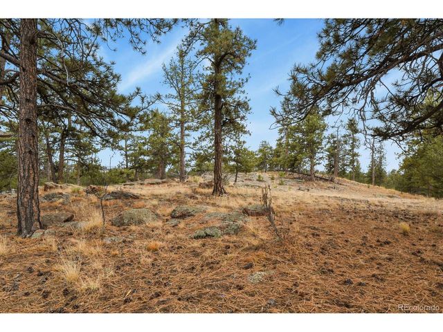 957 Arapahoe Dr, Florissant, CO 80816