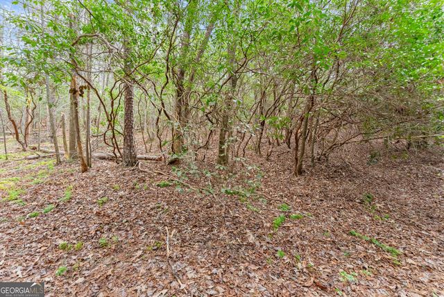 LOT 22 Soque Falls Circle, Clarkesville, GA 30523