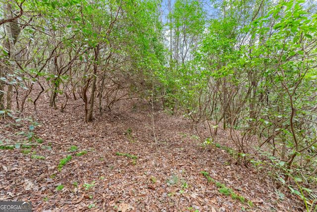 LOT 22 Soque Falls Circle, Clarkesville, GA 30523