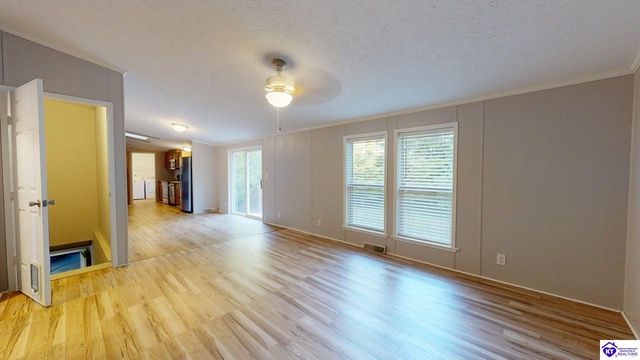 1005 Medley Drive, Ekron, KY 40108