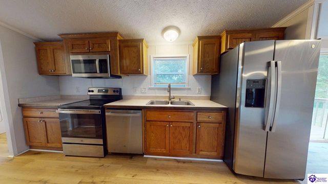 1005 Medley Drive, Ekron, KY 40108