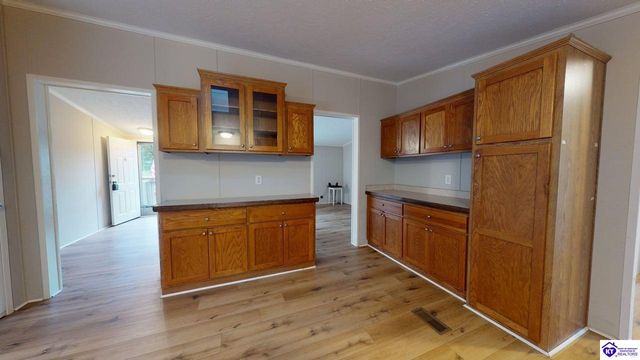 1005 Medley Drive, Ekron, KY 40108