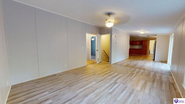 1005 Medley Drive, Ekron, KY 40108