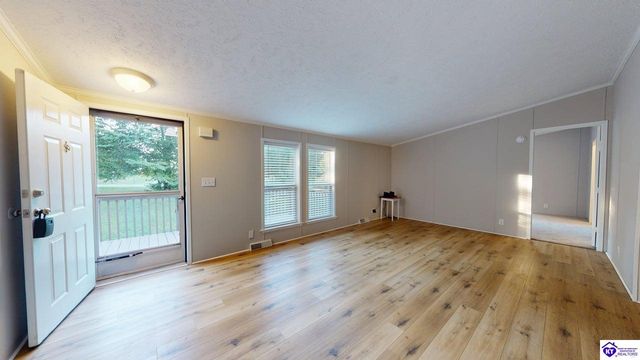 1005 Medley Drive, Ekron, KY 40108