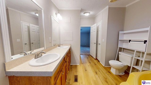 1005 Medley Drive, Ekron, KY 40108