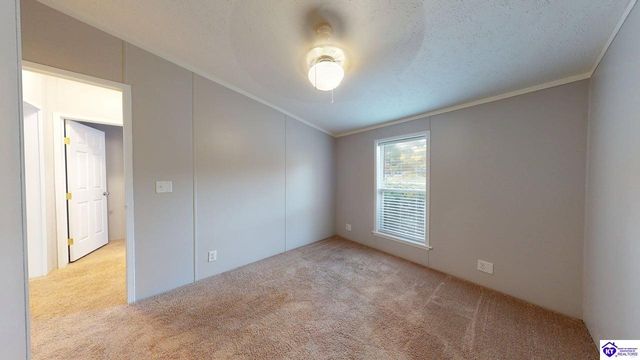 1005 Medley Drive, Ekron, KY 40108