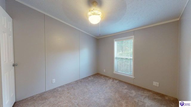 1005 Medley Drive, Ekron, KY 40108