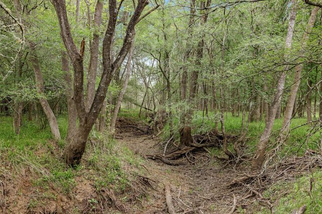 TBD County Road 433, Dime Box, TX 77853