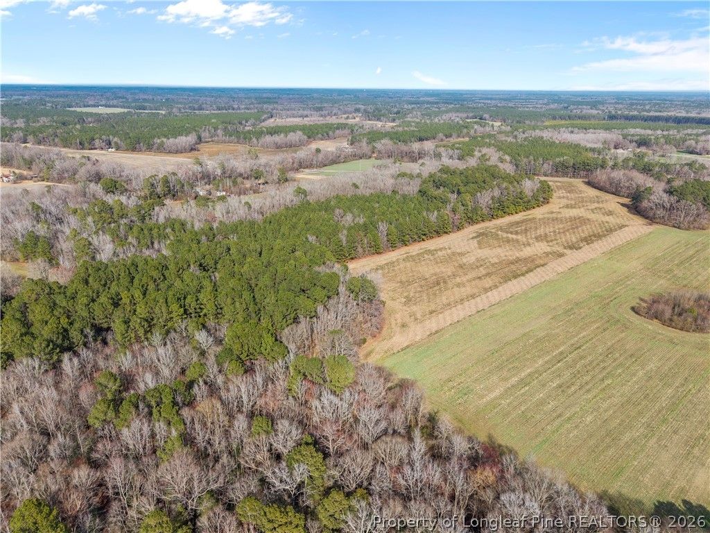 1896 & 0 Clark Road, Lillington, NC 27546 — photo 3