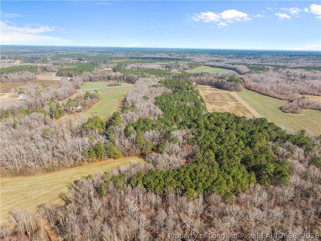 1896 & 0 Clark Road, Lillington, NC 27546 — photo 4