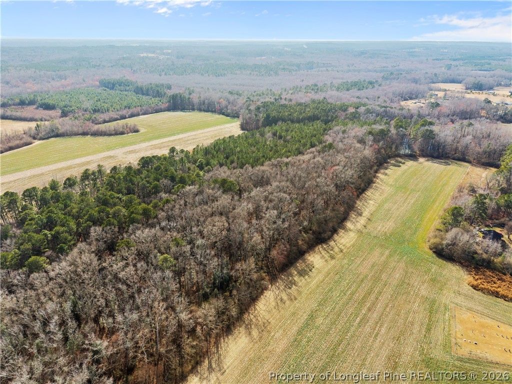 1896 & 0 Clark Road, Lillington, NC 27546 — photo 5