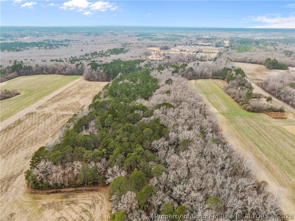 1896 & 0 Clark Road, Lillington, NC 27546 — photo 7