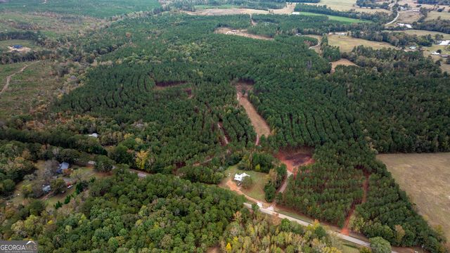 1231 Lanier Road, White Plains, GA 30678