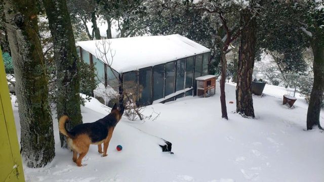 2855 Heliotrope Drive, Julian, CA 92036