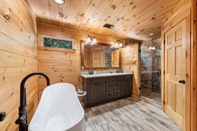 186 Snake Nation Trail, Blue Ridge, GA 30513