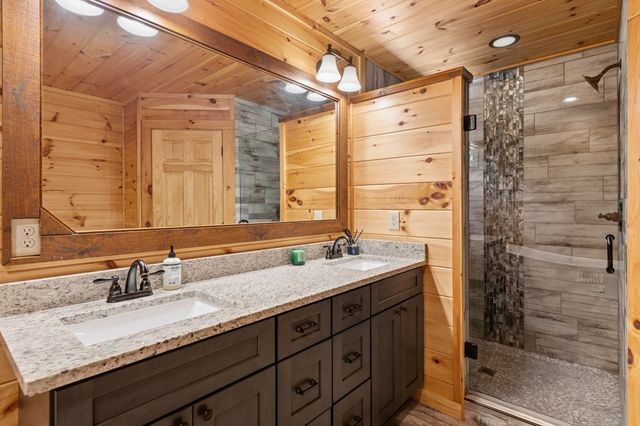 186 Snake Nation Trail, Blue Ridge, GA 30513